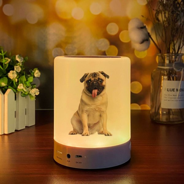 A puppy is printed on the bluetooth night light speaker