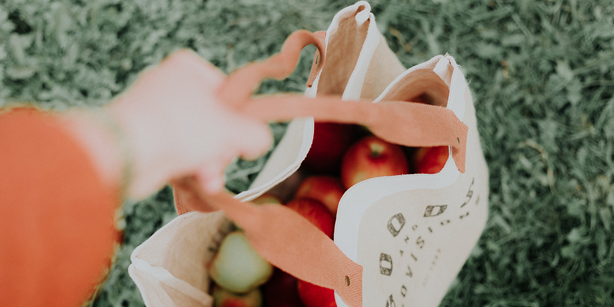 eco friendly shopping bag