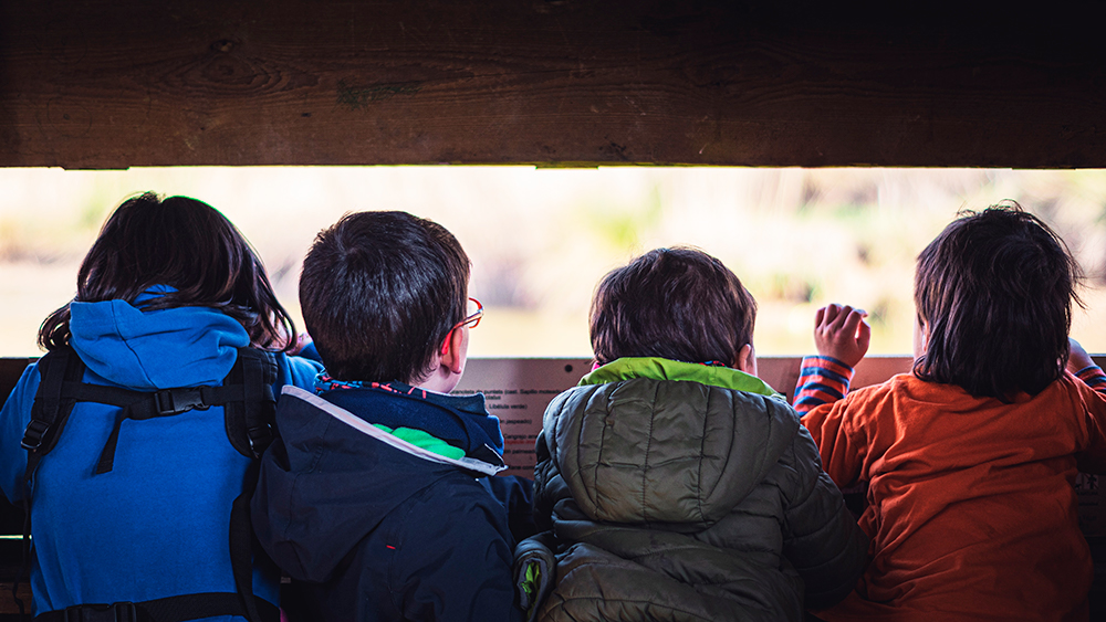 Four little children playing hide and seek