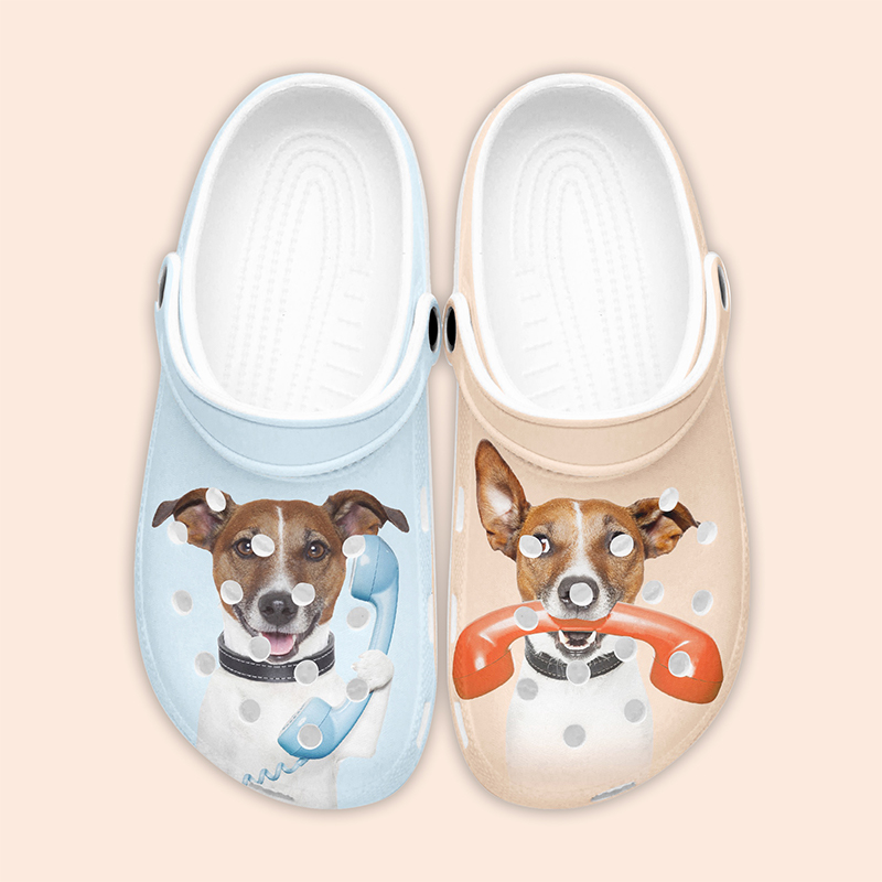 A pair of clogs with a pet print