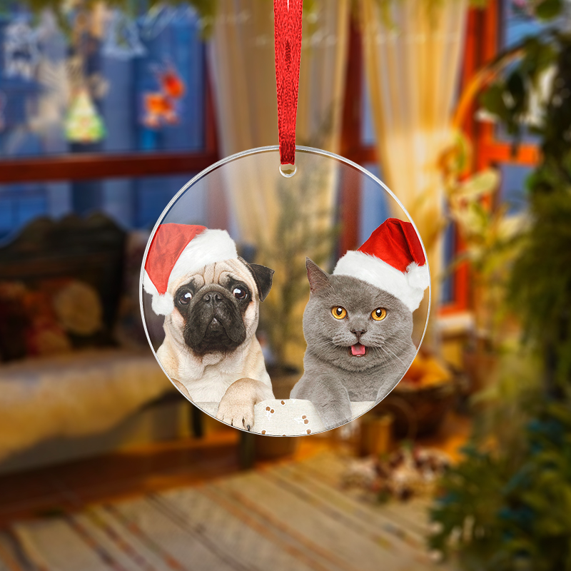 Acrylic ornaments printed with a cat and dog wearing a Santa hat