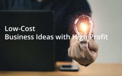 10 Low-Cost Business Ideas with High Profit in 2024