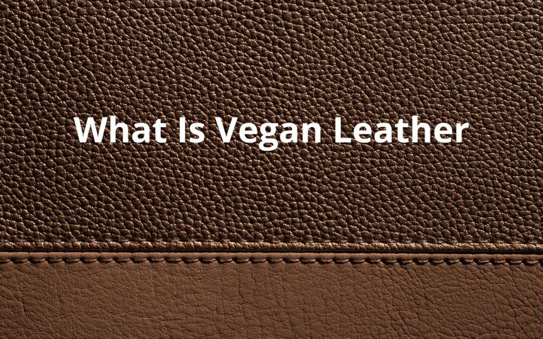 What Is Vegan Leather? A Complete Guide