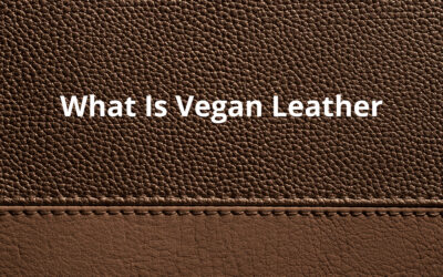What Is Vegan Leather? A Complete Guide
